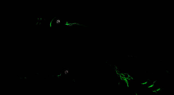 《毁灭战士：黑暗时代》相关画面3