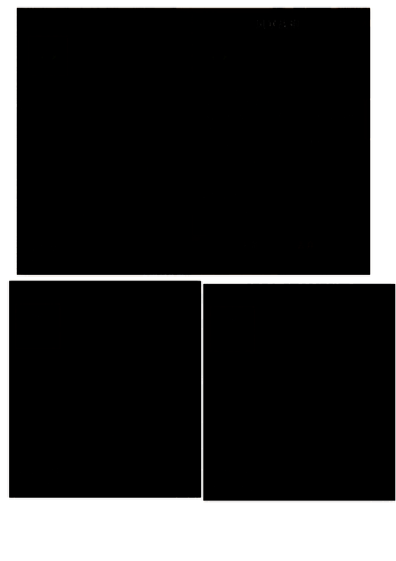 风暴战袍和锻造工作服外观