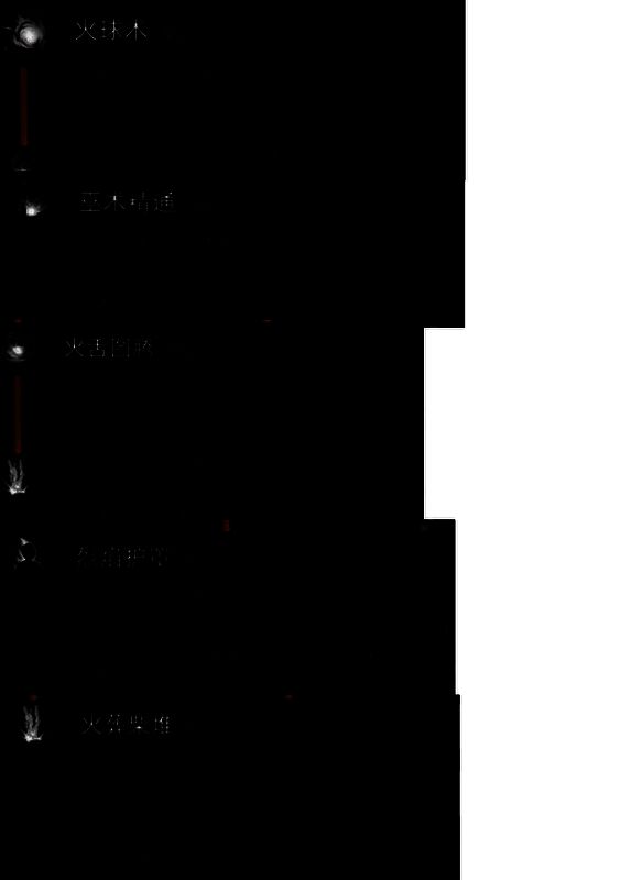 火之巫术技能展示图片