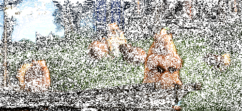 游戏中其他玩法演示动图