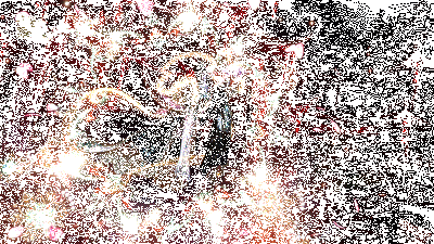 云绣露华时装群龙之首动图