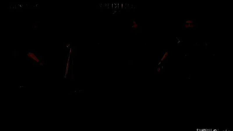 古斯塔夫相关图片2