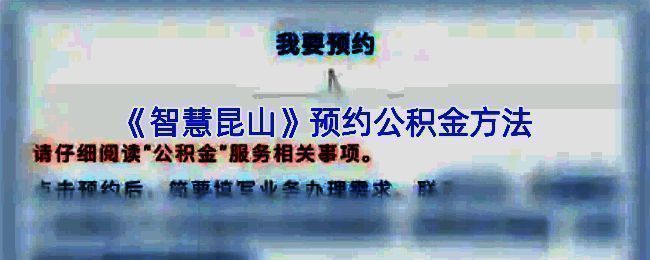 智慧昆山 APP 相关页面示例图片 1