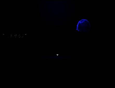 《水族馆不会跳舞》相关画面4