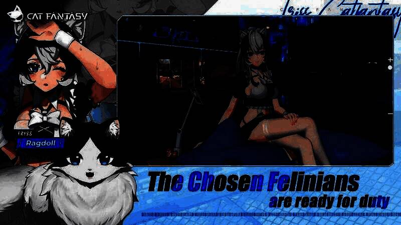 《猫之城》游戏截图8