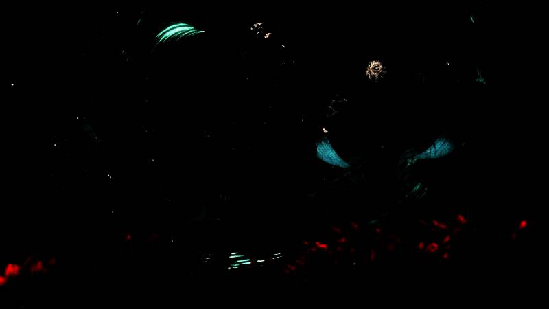 《光与影：33号远征队》相关图片2