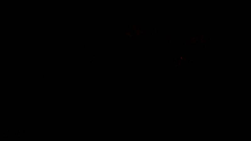 《暗黑破坏神4》相关画面2