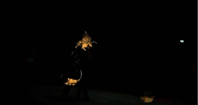 风主、白芷、守岸人配队相关画面