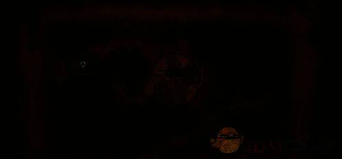 灵芝位置2的地图标识