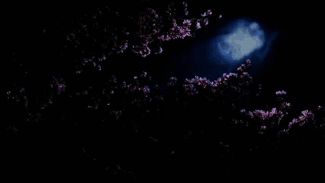 《燕云十六声》视频截图1