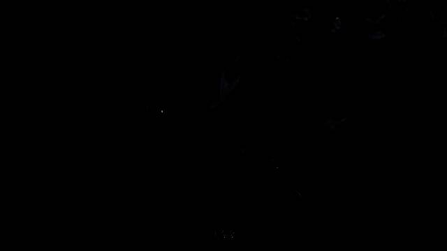 《燕云十六声》视频截图2