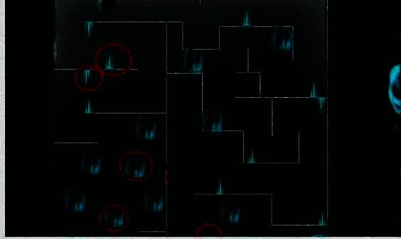 《重返未来:1999》末日与末日之后第8关第1部分游戏画面