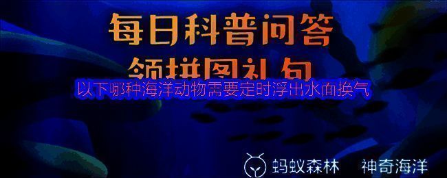 支付宝神奇海洋相关图片1