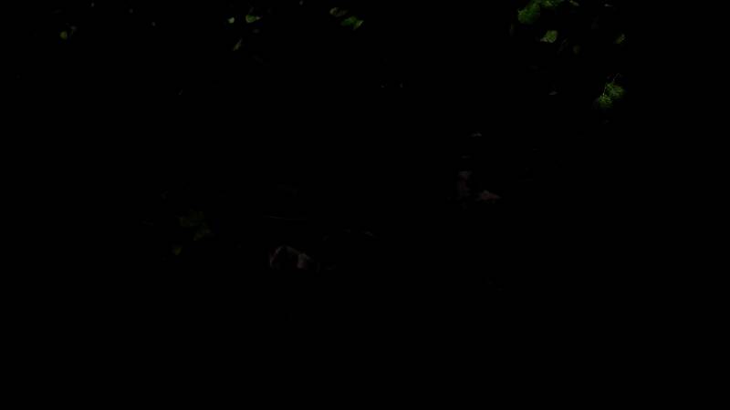 《夺宝奇兵：古老之圈》游戏画面4