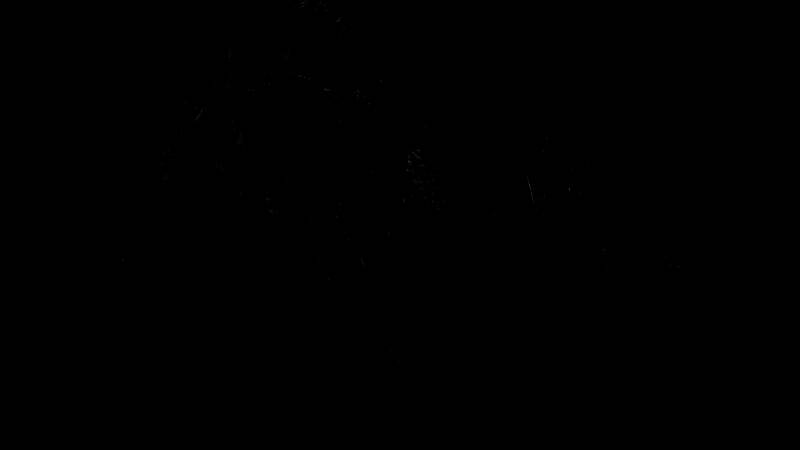 《怪物猎人：荒野》游戏画面1