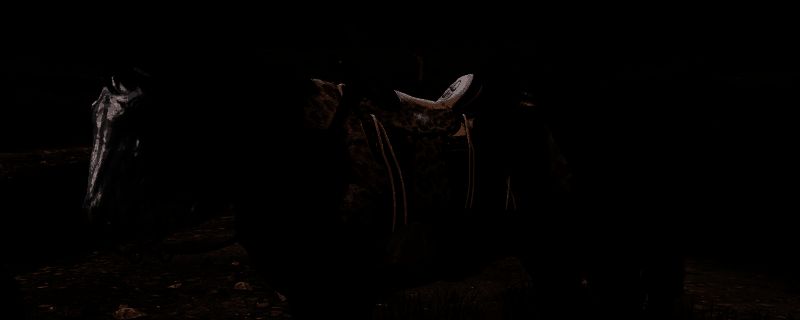 《荒野大镖客2》密苏里狐步马相关图片1