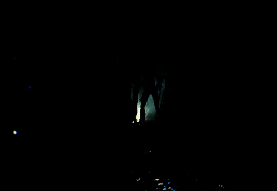 《时间旅者：重⽣曙光》游戏画面