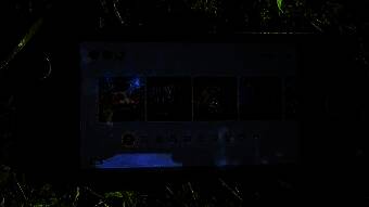 Switch 2相关图片