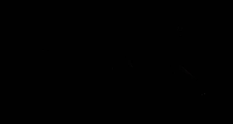 游戏内枪店场景,货架上陈列着多种武器