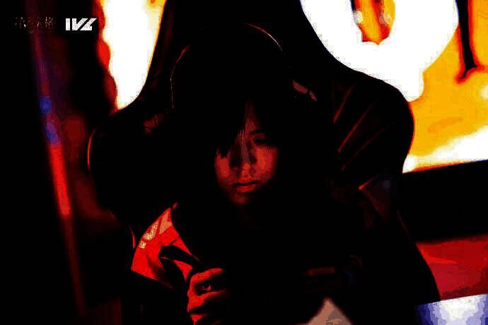 WBG_Persica相关图片2