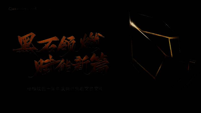 硬核十周年庆典暨黑石奖颁奖礼现场