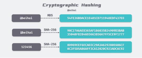 X.Game幸运哈希游戏相关画面2