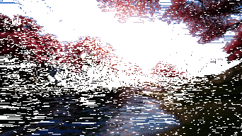 《诛仙2》宣传动图2