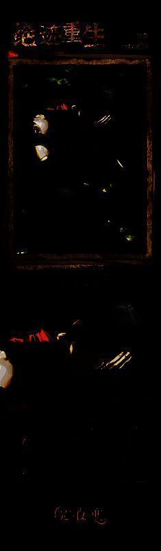 萧逸・绝迹重生灵犀形象