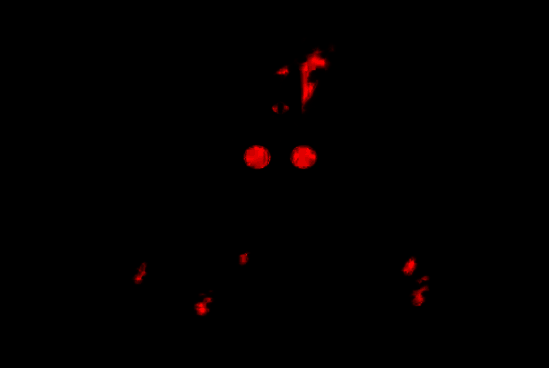 咩咩启示录游戏画面图