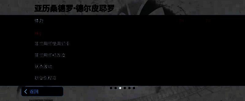 皮耶罗比赛图片7