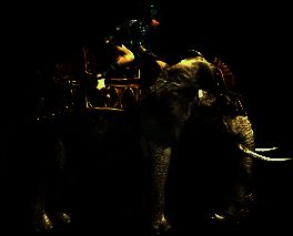 巨象兵冲锋陷阵，蹄声隆隆，震撼全场