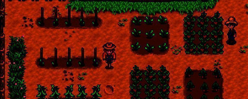 《星露谷物语》农作物处理方式收益对比图表,展示了直售与酿酒的收益差异