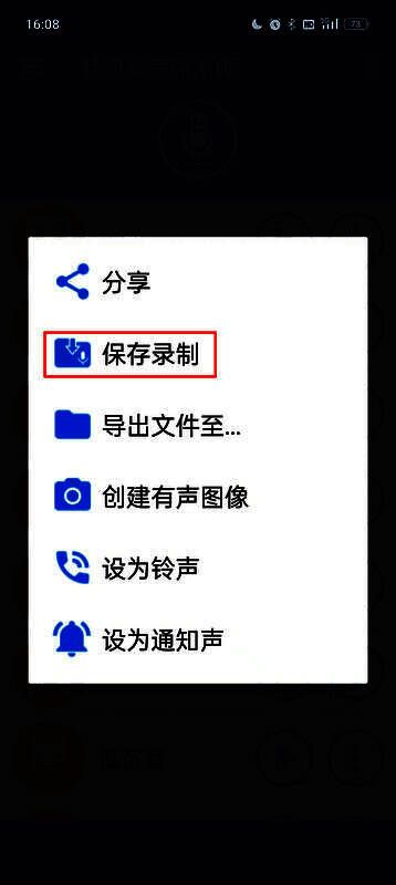 选项菜单界面，突出显示保存录制按钮位置