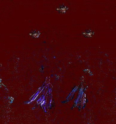 恶身秘术召唤替身，托天秘术在关键时刻救场