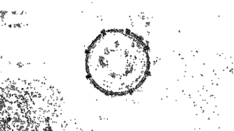 玩家投掷骰子进行装备锻造的动画画面