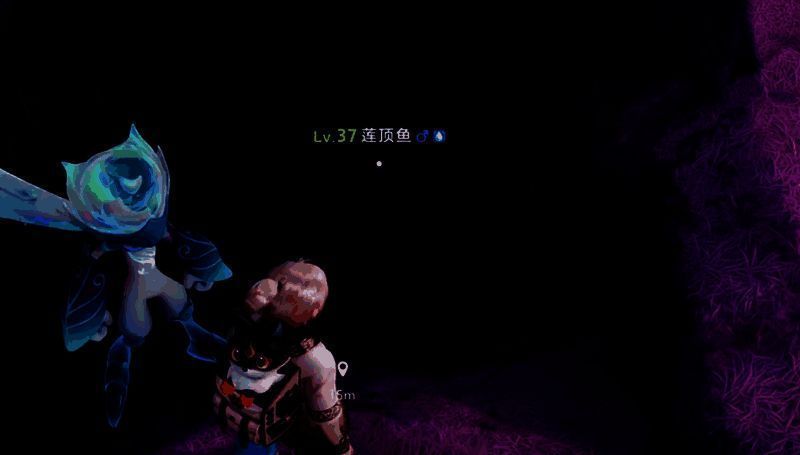 星乐蒂在空中飞行的动态展示,背景为星落林地图