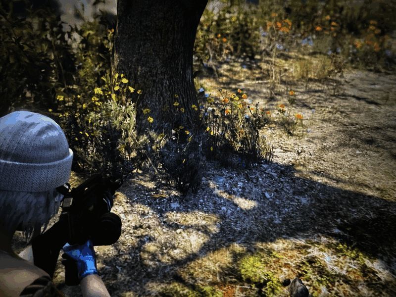 大树旁的箱子中装着黄金左轮手枪，周围光线柔和