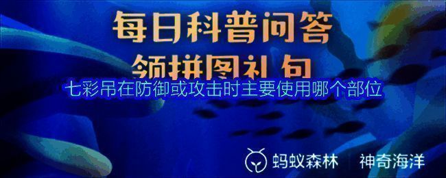 支付宝蚂蚁森林神奇海洋界面展示，七彩吊问题已更新