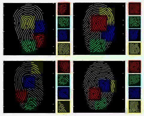 GTAOL指纹锁解谜界面展示颜色区块划分，帮助玩家记忆解锁路径