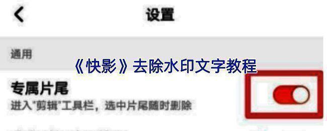 快影操作界面示意图，展示画中画功能设置区域