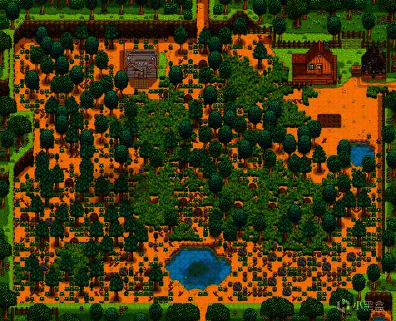 星露谷物语农场初始状态地图，展示未清理区域的杂乱场景