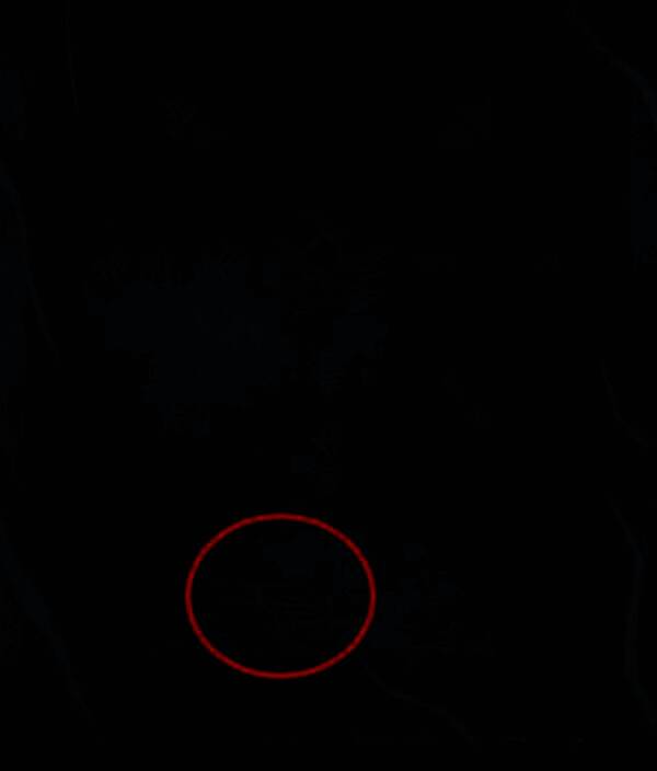 高楼内部陈设古朴，桌上整齐摆放四个木质头颅，等待玩家拾取