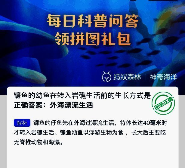 镰鱼幼鱼与成鱼对比图，标注不同阶段生活环境与食物来源