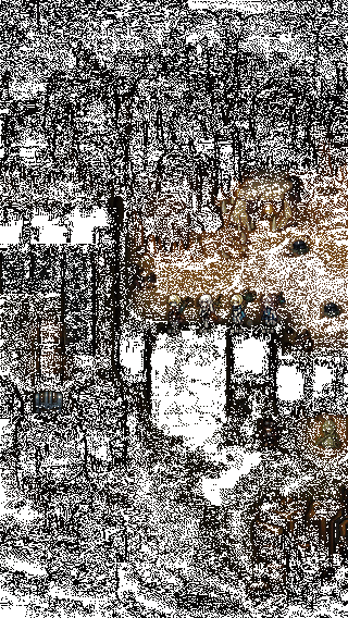 角色释放魔法技能，与伙伴协同攻击圣兽的动态战斗画面