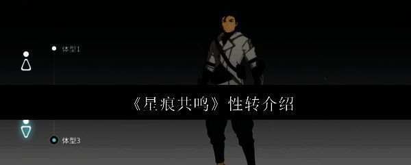 《星痕共鸣》角色创建界面展示，玩家可自由选择性别与外观