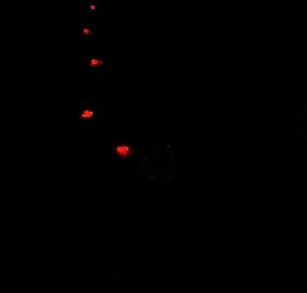 地图上显示多名玩家脚印,第一名留下红色轨迹,其他玩家正向其靠近