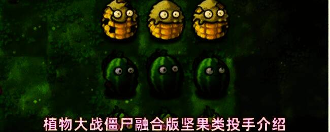 植物大战僵尸融合版中三种坚果投手并列展示，分别为玉米坚果、卷心菜坚果和西瓜坚果，背景为经典草坪战场
