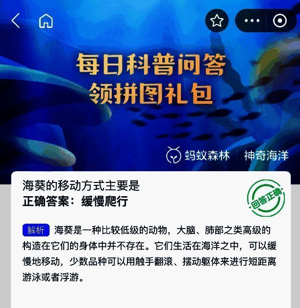 海葵缓慢爬行示意图，展示其基盘贴附海底表面缓慢移动的生物特征