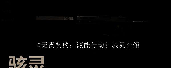 《无畏契约》游戏中骇灵突击步枪的整体外观展示，枪身线条流畅，带有未来科技感设计