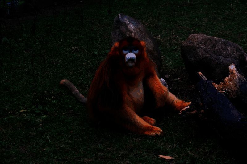 一只活泼的金丝猴正攀爬在粗壮的树枝上,眼神灵动,充满好奇地望向镜头